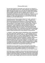 Konspekts 'Kaujas pie Mazās Juglas, Nāvessalas un Ziemassvētku kaujas', 2.