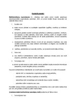 Referāts 'Ģeopolitiskie riski', 4.