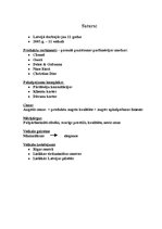 Eseja 'Parfimērijas un kosmētikas veikalu "X" tēls, tā ietekmējošie faktori', 1.