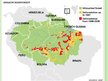 Prezentācija 'Amazon Rainforest Deforestation', 3.