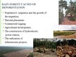 Prezentācija 'Amazon Rainforest Deforestation', 4.