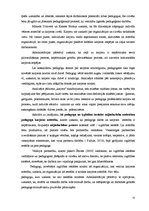 Diplomdarbs 'Pedagoga profesionālā karjera izglītības iestādē', 52.