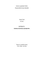 Referāts 'Radošuma izmantošana uzņēmējdarbībā', 1.