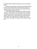 Referāts 'Veiklība un kustību koordinācija, tās attīstīšana', 33.