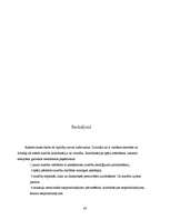 Referāts 'Veiklība un kustību koordinācija, tās attīstīšana', 43.