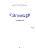 Referāts 'Citrusaugļi', 1.