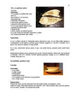 Referāts 'Citrusaugļi', 22.