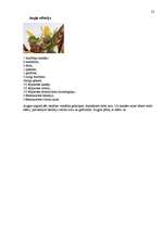 Referāts 'Citrusaugļi', 23.