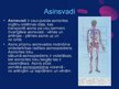 Prezentācija 'Asinsrite, asinsrites sistēma', 7.