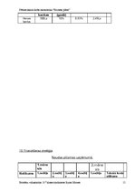 Biznesa plāns 'Avīze "Pasta Balodis"', 15.