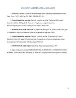 Referāts 'Zagšana un ētika', 13.