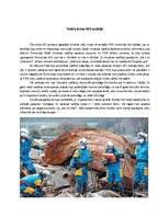 Referāts 'Černobiļas un Fukušimas atomelektrostaciju salīdzinājums', 9.