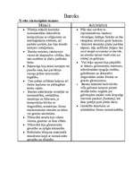 Konspekts 'Baroka un klasicisma raksturīgākās iezīmes mākslā un arhitektūrā', 1.