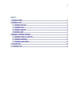 Referāts 'Reklāmas veidošanas metodika', 1.