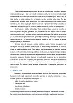 Referāts 'Reklāmas veidošanas metodika', 7.