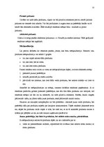 Referāts 'Reklāmas veidošanas metodika', 10.