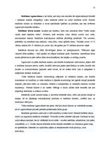 Referāts 'Reklāmas veidošanas metodika', 13.