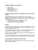 Biznesa plāns 'Peintbola spēļu zāle "Ķiverīte"', 7.