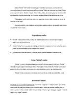 Referāts 'Veikala "Adidas" mārketinga plāns', 2.