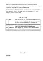 Referāts 'Veikala "Adidas" mārketinga plāns', 3.