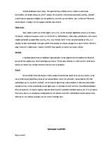 Referāts 'Veikala "Adidas" mārketinga plāns', 4.