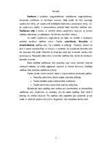 Referāts 'Vadības stili', 2.