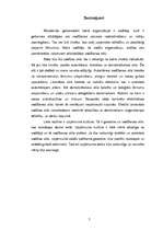 Referāts 'Vadības stili', 7.