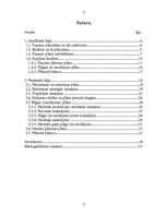 Referāts 'Finanšu plānošana', 2.