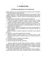 Referāts 'Finanšu plānošana', 4.