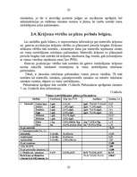 Referāts 'Finanšu plānošana', 25.