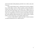 Prakses atskaite 'Prakses atskaite mārketingā', 9.