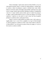 Prakses atskaite 'Prakses atskaite mārketingā', 17.