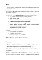 Referāts 'Menedžments viesnīcā "Metropole"', 4.