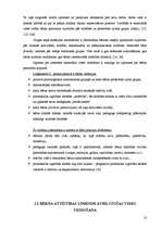 Diplomdarbs 'Priekšmetiskās vides nozīme matemātisko priekšstatu veicināšanā 4-5 gadus veciem', 37.