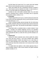 Diplomdarbs 'Priekšmetiskās vides nozīme matemātisko priekšstatu veicināšanā 4-5 gadus veciem', 53.