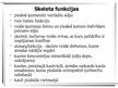 Prezentācija 'Skeletu veidi', 12.