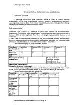 Referāts 'Loģistikas tīklu plānošanas uzdevuma risināšana, izmantojot atvērtā pirmkoda loģ', 4.