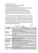 Referāts 'Tirgus izpētes metodes', 7.