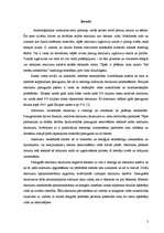 Referāts 'Cieto sadzīves atkritumu pārstrādes procesu analīze', 3.