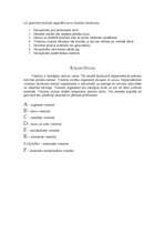 Konspekts 'Vitamīni', 3.