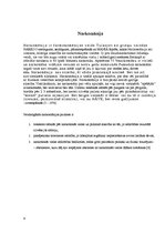 Referāts 'Narkomānija', 6.