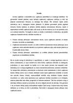 Referāts 'Finanšu pārskatu ātrā analīze', 3.