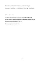 Referāts 'Booking Process Analysis in "Fontain Hotel"', 17.