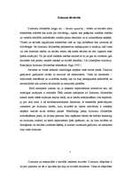 Referāts 'Dzimumu līdztiesība', 1.