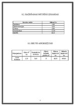 Biznesa plāns 'IK "Flīze”', 7.