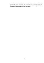 Referāts 'Rokraksts - tava rakstura spoguļattēls', 20.