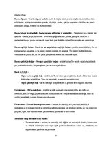 Referāts 'Rokraksts - tava rakstura spoguļattēls', 25.