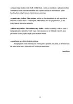 Referāts 'Rokraksts - tava rakstura spoguļattēls', 30.