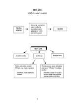 Konspekts 'Adminitratīvais process shēmās', 3.