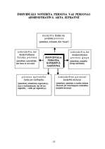 Konspekts 'Adminitratīvais process shēmās', 8.